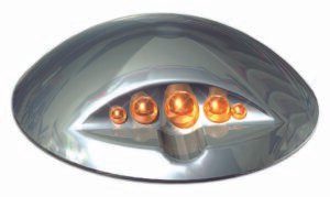 Stainless steel button