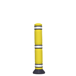 Milestone Maxy