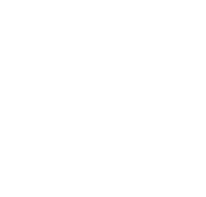 logo multisigns_roadsafety footer logo